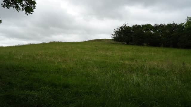 Lush green hillside under a cloudy sky, bordered by trees in the background.
