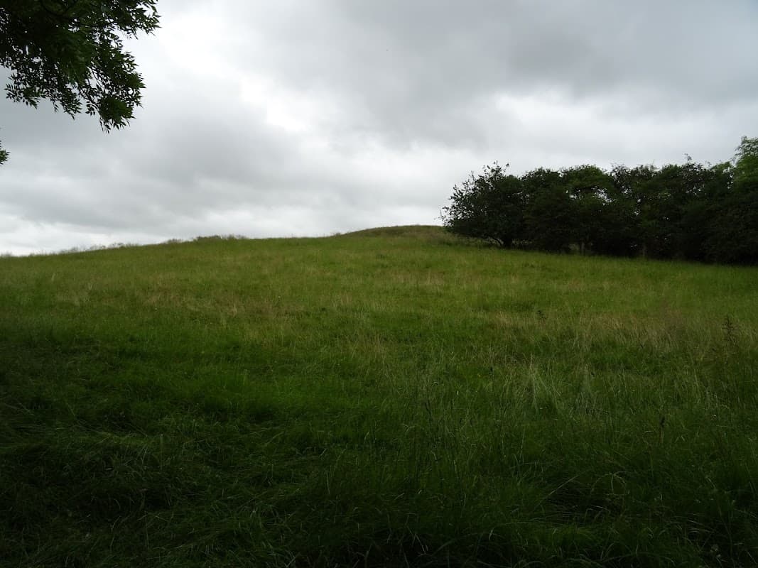 Lush green hillside under a cloudy sky, bordered by trees in the background.