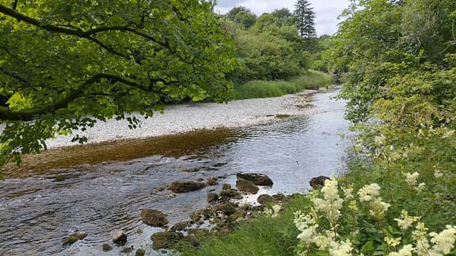 Grass Wood Nature Reserve - Nature Reserves in grassington