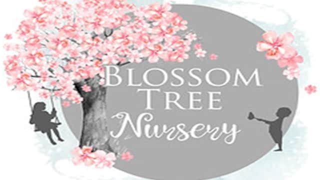 Blossom Tree Day Nursery Mexborough - Nurseries in mexborough