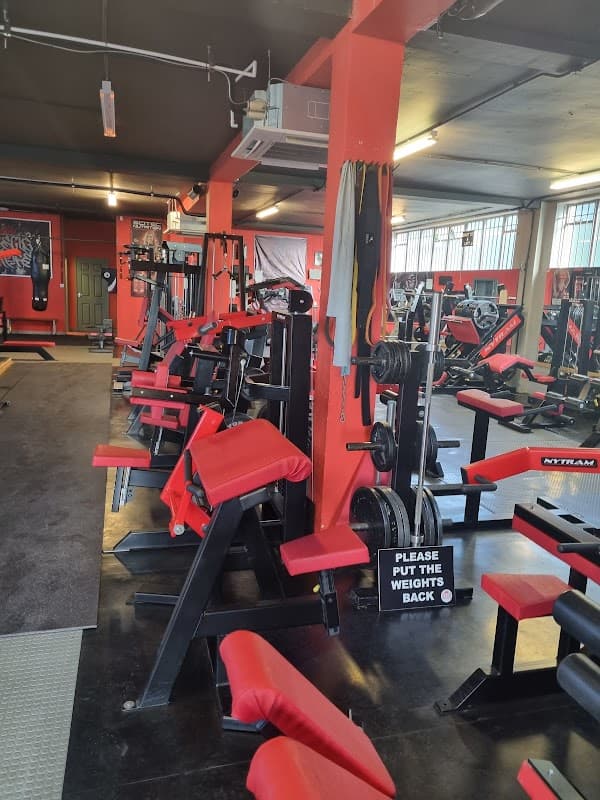 Muscle Empire