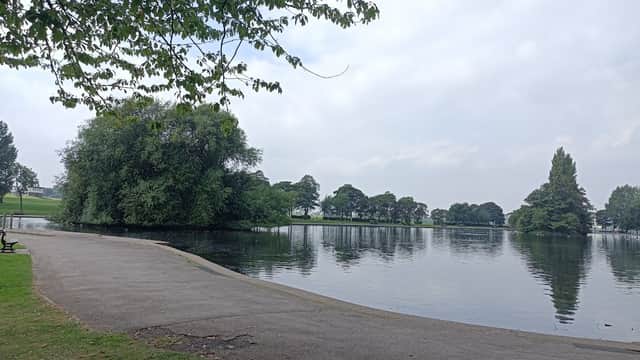 Serene park scene featuring a calm lake, lush greenery, and a pathway lined with trees under a cloudy sky.