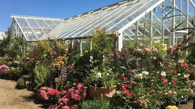 RV Roger - Garden in pickering