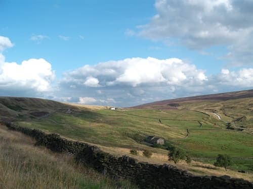 Bronte Walks