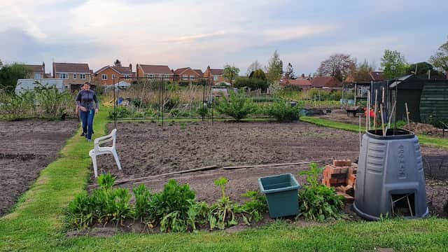 A person walks through a community garden with plots, green plants, a compost bin, and houses in the background.