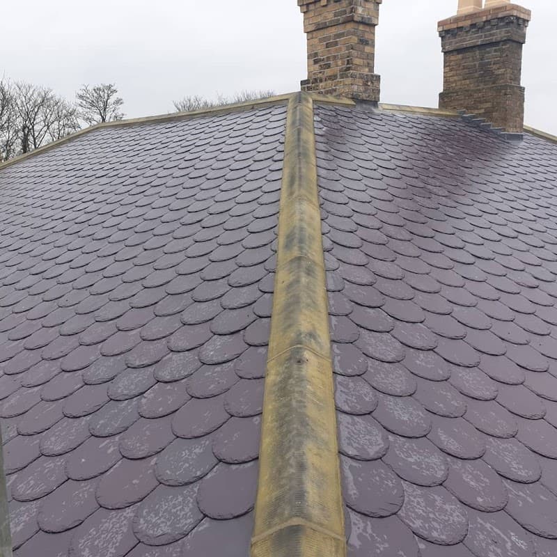 Dw roofing and building ltd