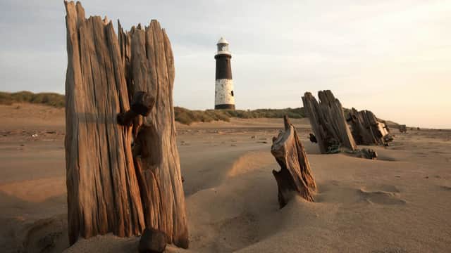YWT Spurn - Natural Features in easington east yorkshire