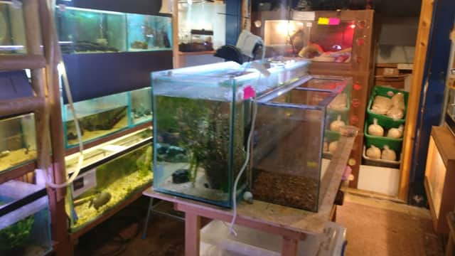 Heather's Place4Pets - Pet Shops in middlesbrough