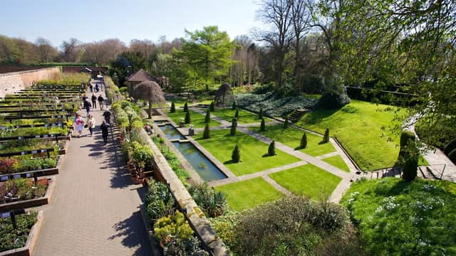 Lush garden with manicured lawns, pathways, and a pond, surrounded by visitors enjoying the sunny day at Wentworth Garden Centre.
