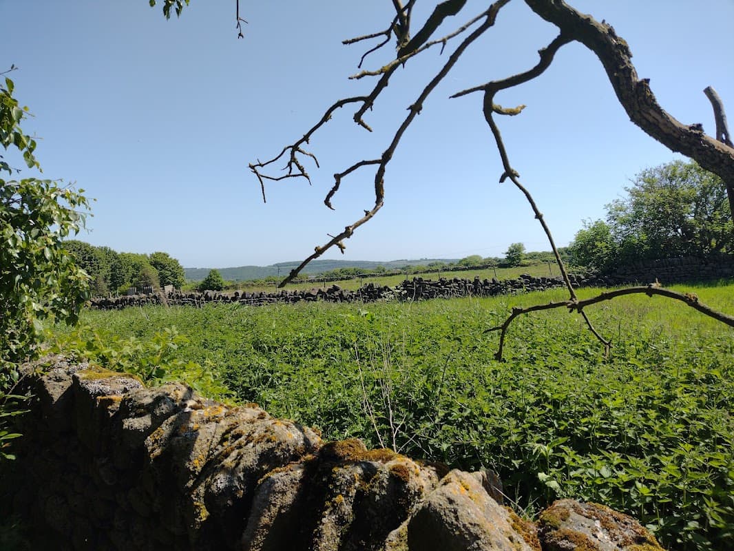 New Hall Wood