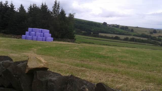 Wam Lettings - Estate Agents in holme valley