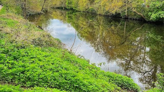 Lush green foliage lines a serene riverbank, reflecting trees under a cloudy sky at Mackintosh Park, North Yorkshire.
