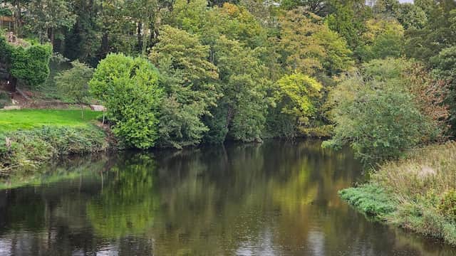 Scaur Bank - Park in wetherby
