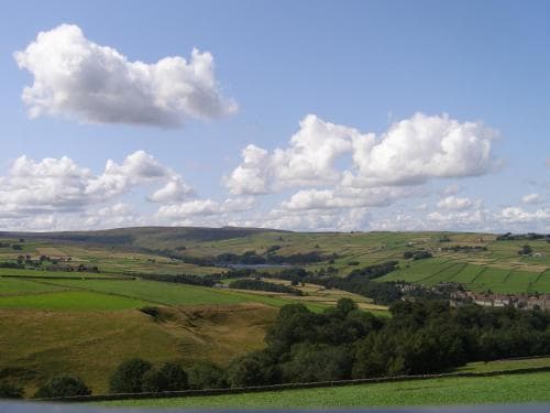 Coddy's Farm
