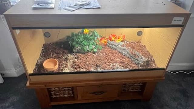 The Exotics Hub - Pet Shops in hull