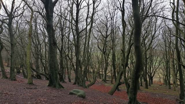 Whitwell Moor - Park in bolsterstone ewden village