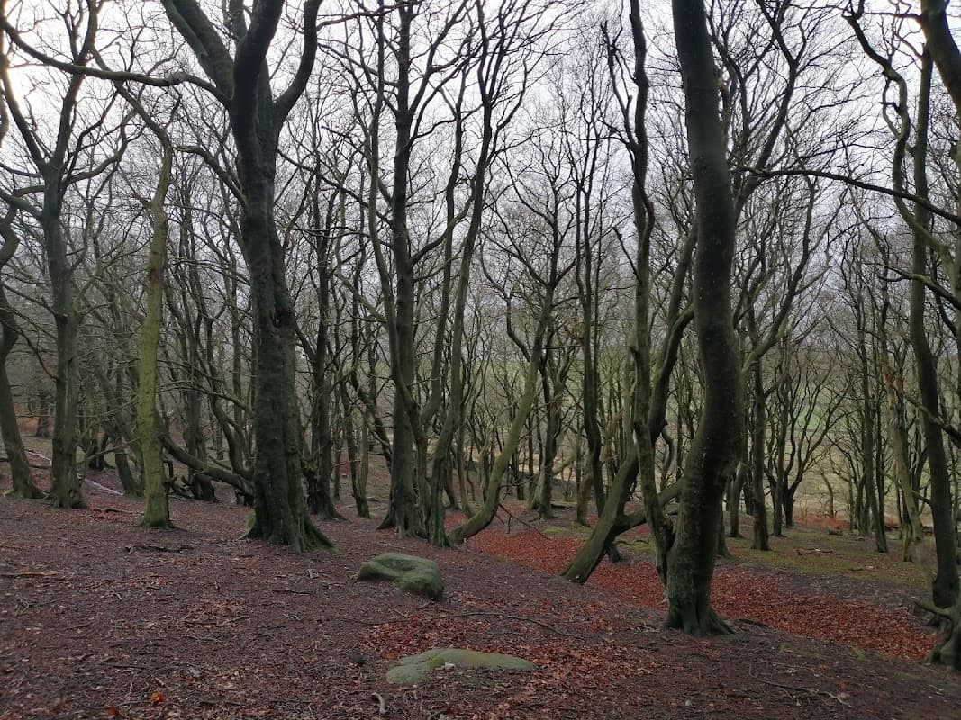 Whitwell Moor