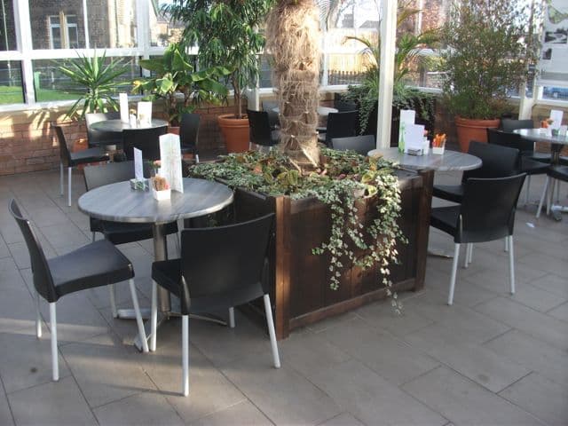 Indoor seating area with potted plants, tables, and chairs in a bright, glass-enclosed space.