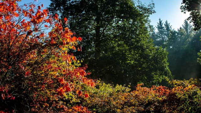 Visit The Yorkshire Arboretum - Park in coneysthorpe