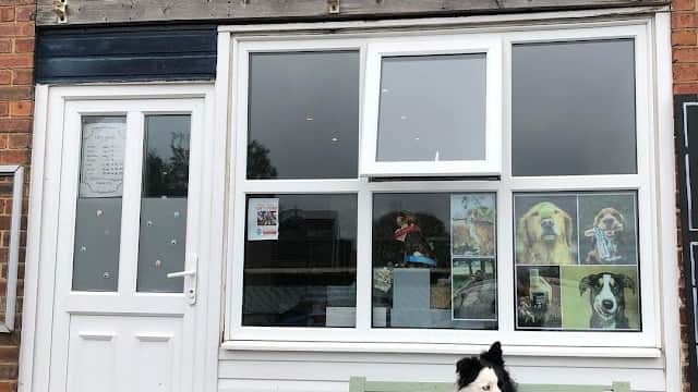 Natural Dog Treats - Pet Shops in brighouse