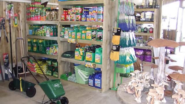 The Green Frog Garden Shop - Shop in ellerton on swale