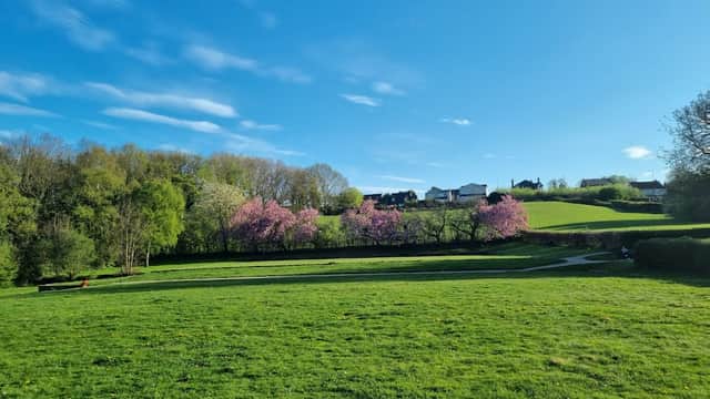 Lush green park with blooming cherry trees, rolling hills, and a clear blue sky in Rotherham, Yorkshire.