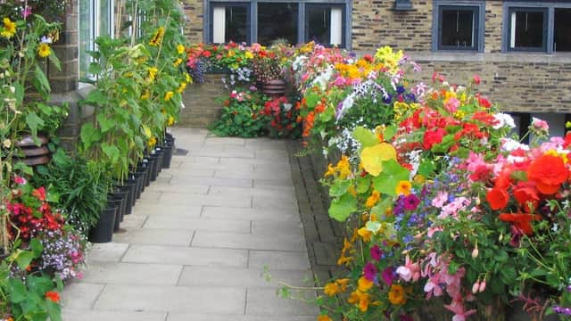 Haworth Primary School - Primary Schools in cross roads