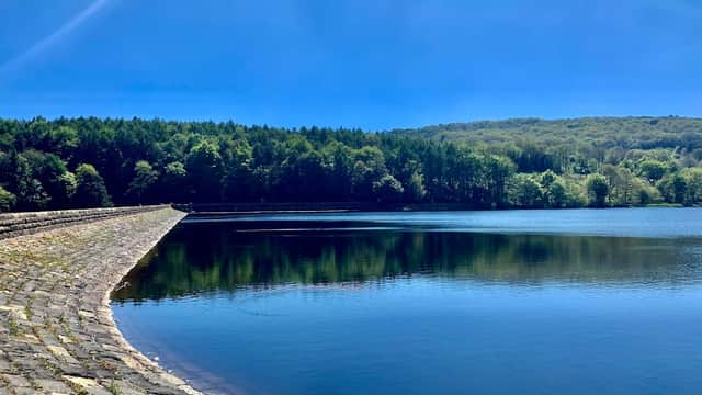 Calm reservoir surrounded by lush green trees under a clear blue sky, with a stone embankment along the water's edge.
