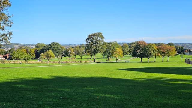 Spacious green park with trees, clear blue sky, and distant hills, inviting for outdoor activities and relaxation.