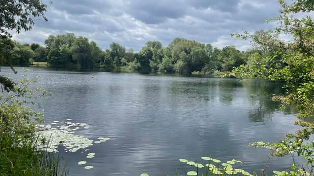 Tranquil pond surrounded by lush greenery and lily pads under a cloudy sky at Sugar Mill Ponds, Rawcliffe Bridge.