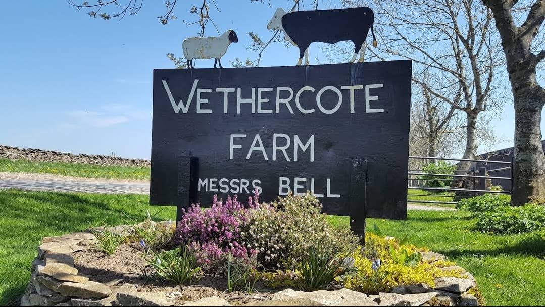 Sign for Wethercote Farm with sheep decorations, surrounded by colorful flowers and green grass under a clear blue sky.