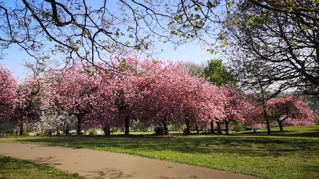 Western Flatts Cliff Park - Park in beeston
