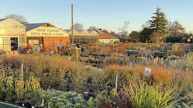 Vibrant garden center with various plants and flowers under a clear blue sky in Leeming, North Yorkshire.