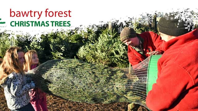Bawtry Forest Christmas Trees - Gift Shops in bawtry
