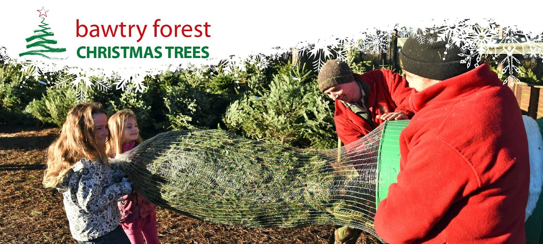 Bawtry Forest Christmas Trees
