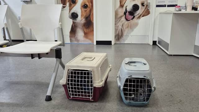 Vets4Pets - Northallerton - Vets in northallerton