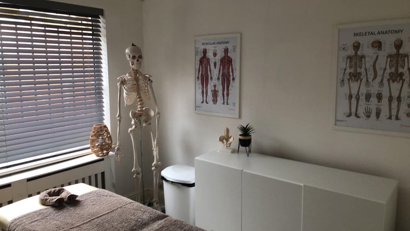 MT Sports Rehab