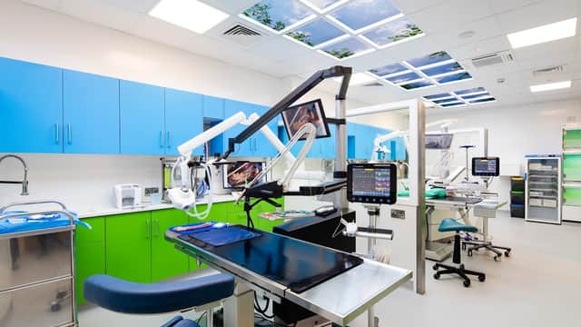 Vet Dentist - Vets in harrogate