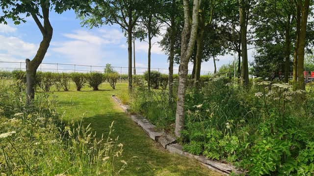 Lush greenery with trees and wildflowers, leading to a fenced area, under a bright blue sky in Filey, Yorkshire.