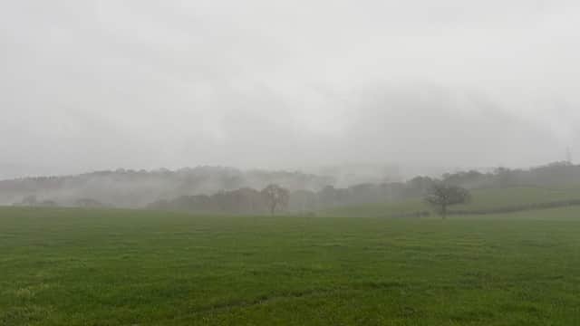Liley Wood - Park in mirfield
