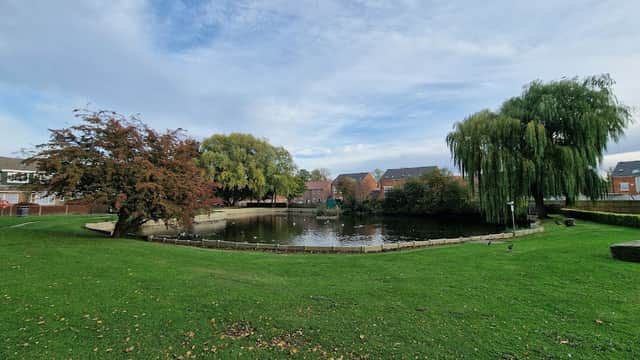 Lush green park featuring a serene pond surrounded by trees and residential buildings under a cloudy sky.