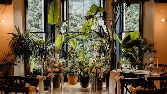 Hyde Park Flower Club by Dottie's - Florists in leeds