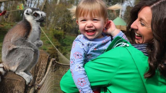 Tropical Butterfly House - Attraction in anston