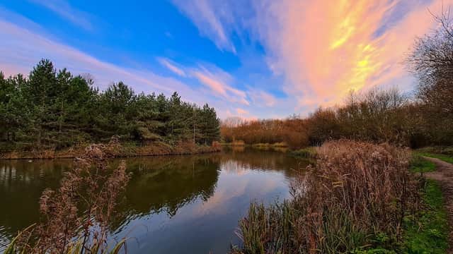 Noddle Hill Way Nature Reserve - Nature Reserves in hull