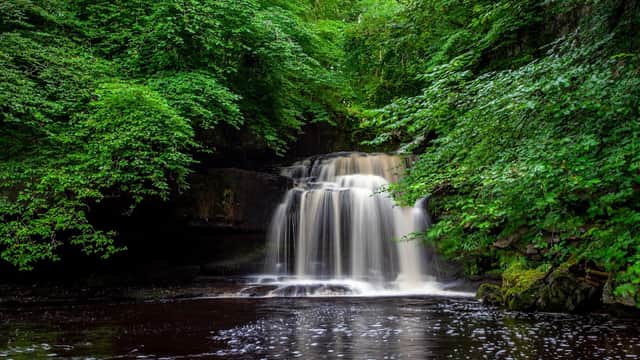 A serene waterfall cascades through lush green foliage into a dark pool, surrounded by vibrant trees in West Burton.