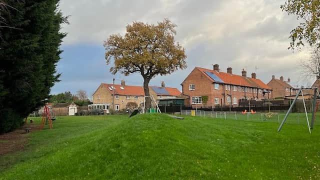 Play area with green grass, a large tree, swings, and houses in the background under a cloudy sky.