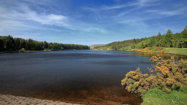 Serene reservoir surrounded by lush greenery and trees under a clear blue sky.