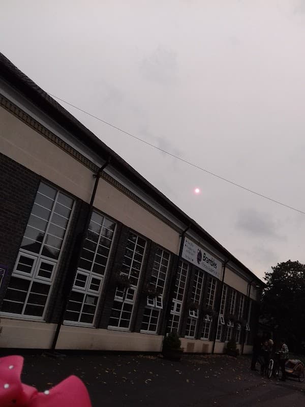 Brambles Primary Academy