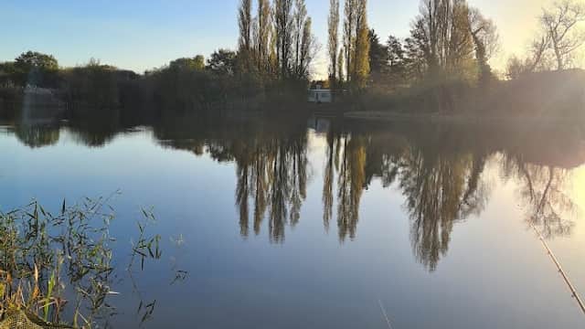 Serene pond reflecting trees under a clear blue sky, with reeds framing the foreground in East Cowick, Yorkshire.