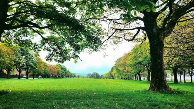 Savile Park Moor - Park in halifax